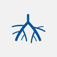 Vascular Access