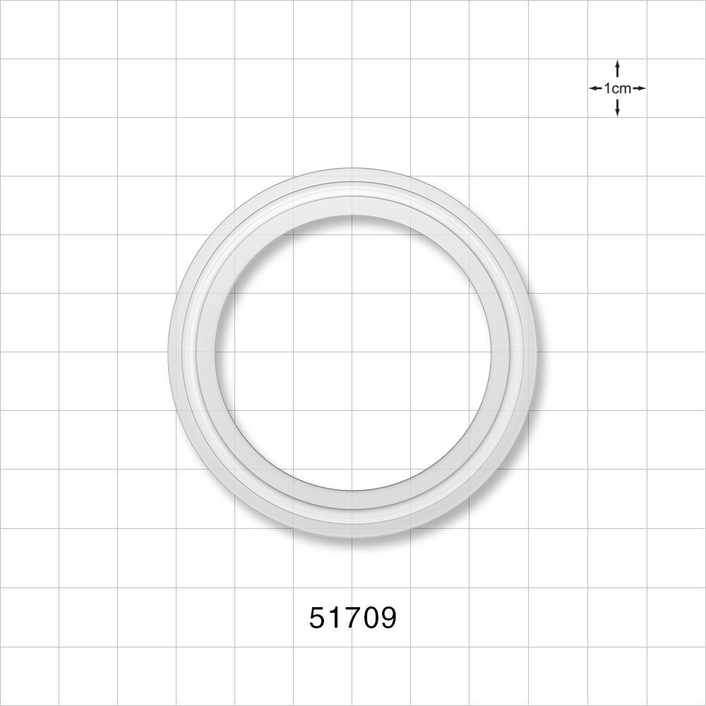 Sanitary Flange Gasket