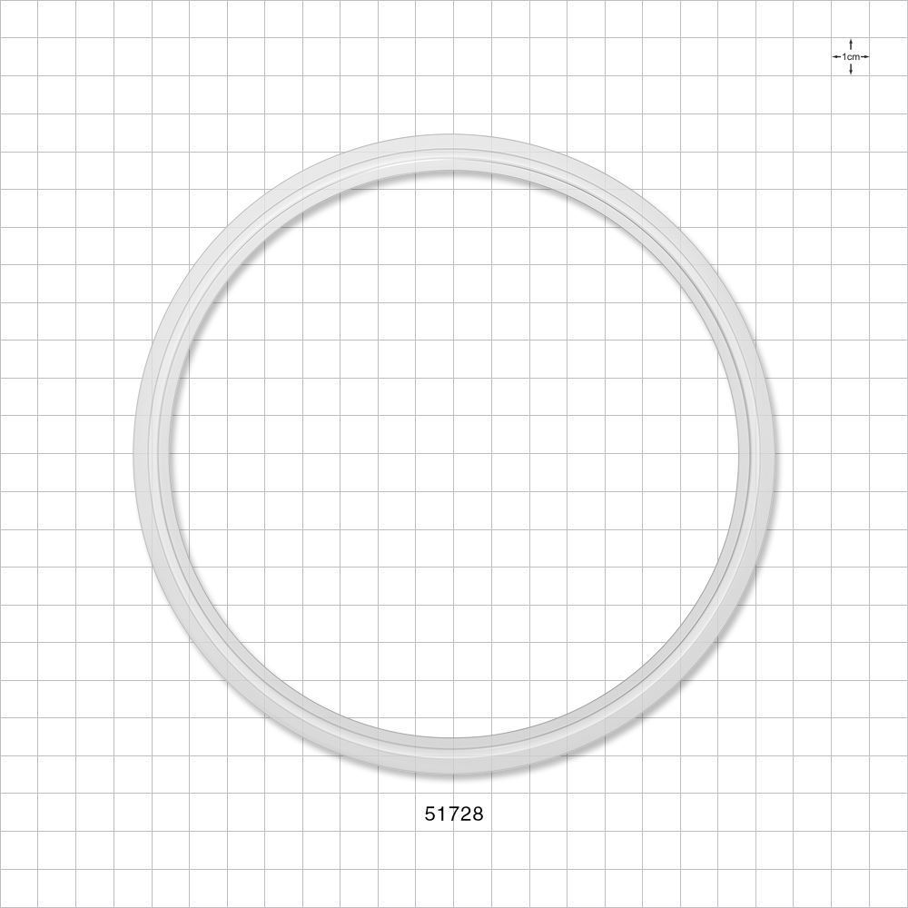 Sanitary Flange Gasket