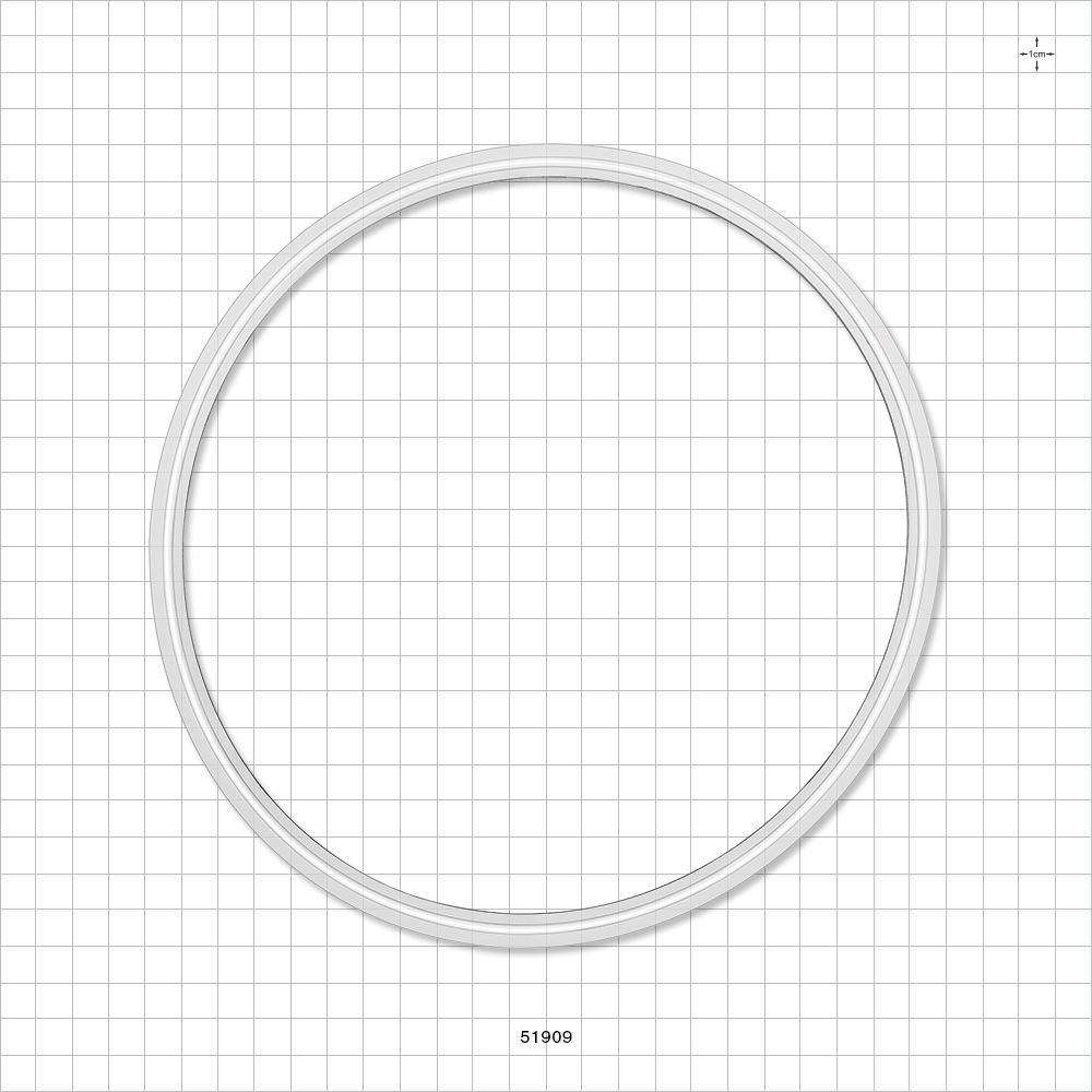 Sanitary Flange Gasket