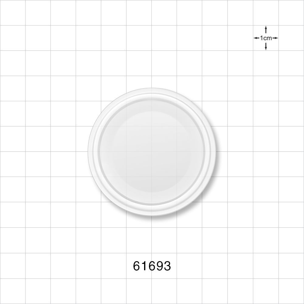 Sanitary Flange End Cap