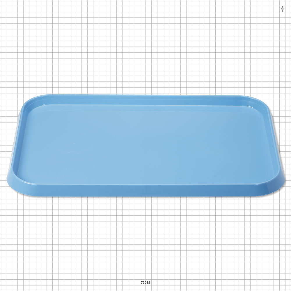 Small Mayo Tray, Blue